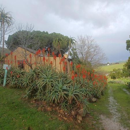 Villa Swaynekloof Farm Botrivier Exterior foto
