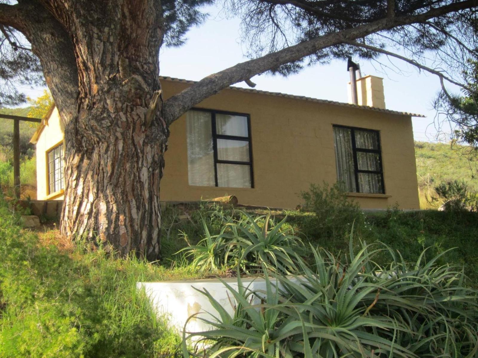 Villa Swaynekloof Farm Botrivier Habitación foto