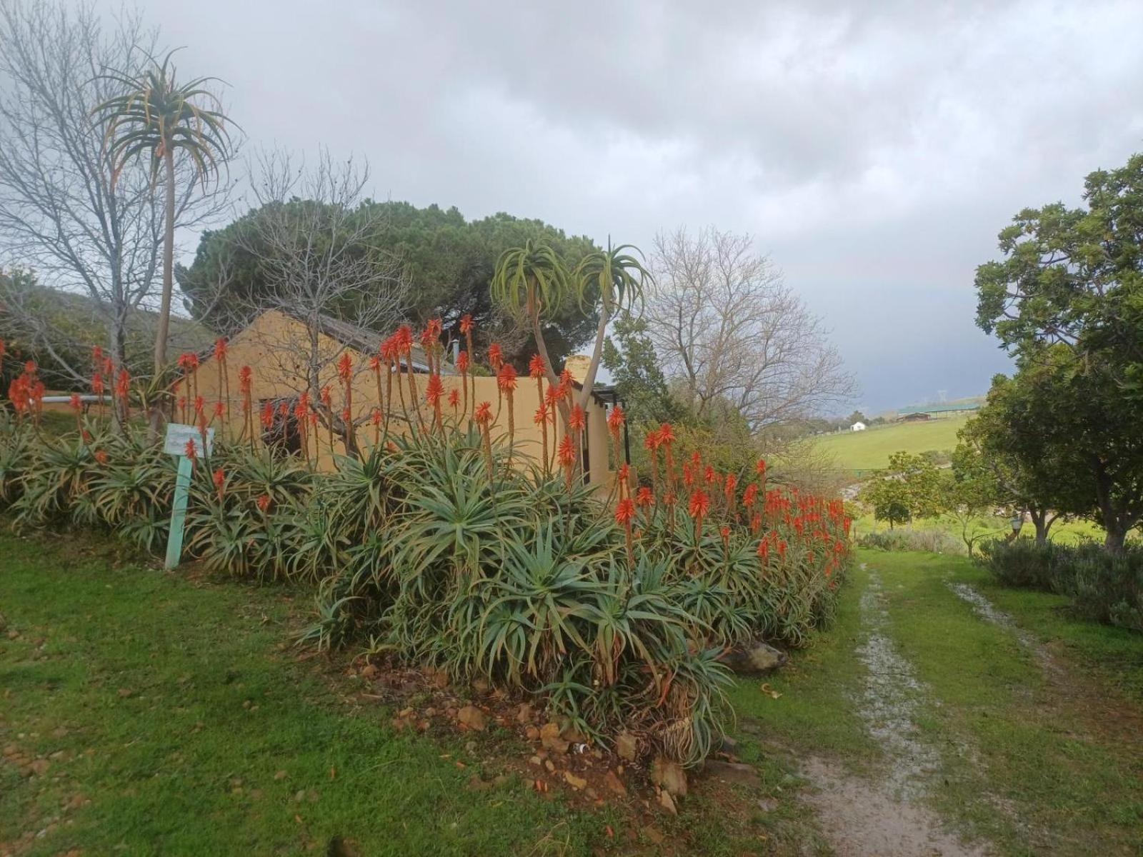 Villa Swaynekloof Farm Botrivier Exterior foto